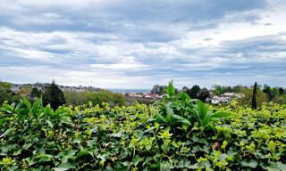 Photo N° 6