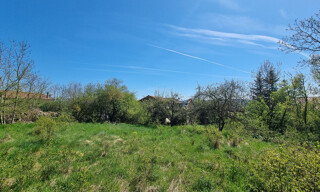 Photo N° 6
