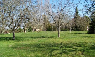 Photo N° 8