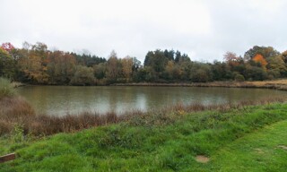 Photo N° 6