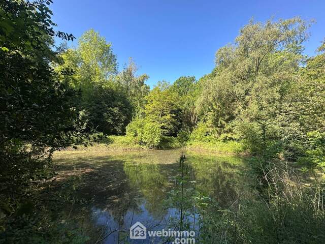 Etang - 3020m² - Parfondru — photo du bien