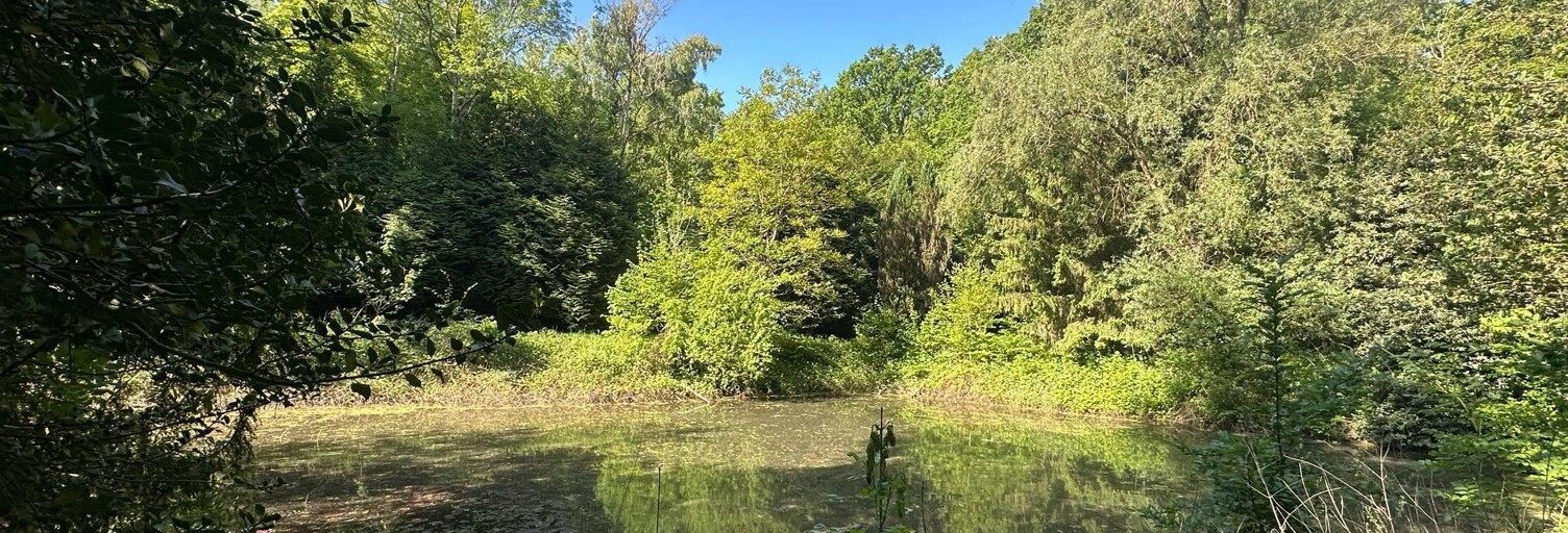 Terrain  3020 m² à vendre à Parfondru (02840)