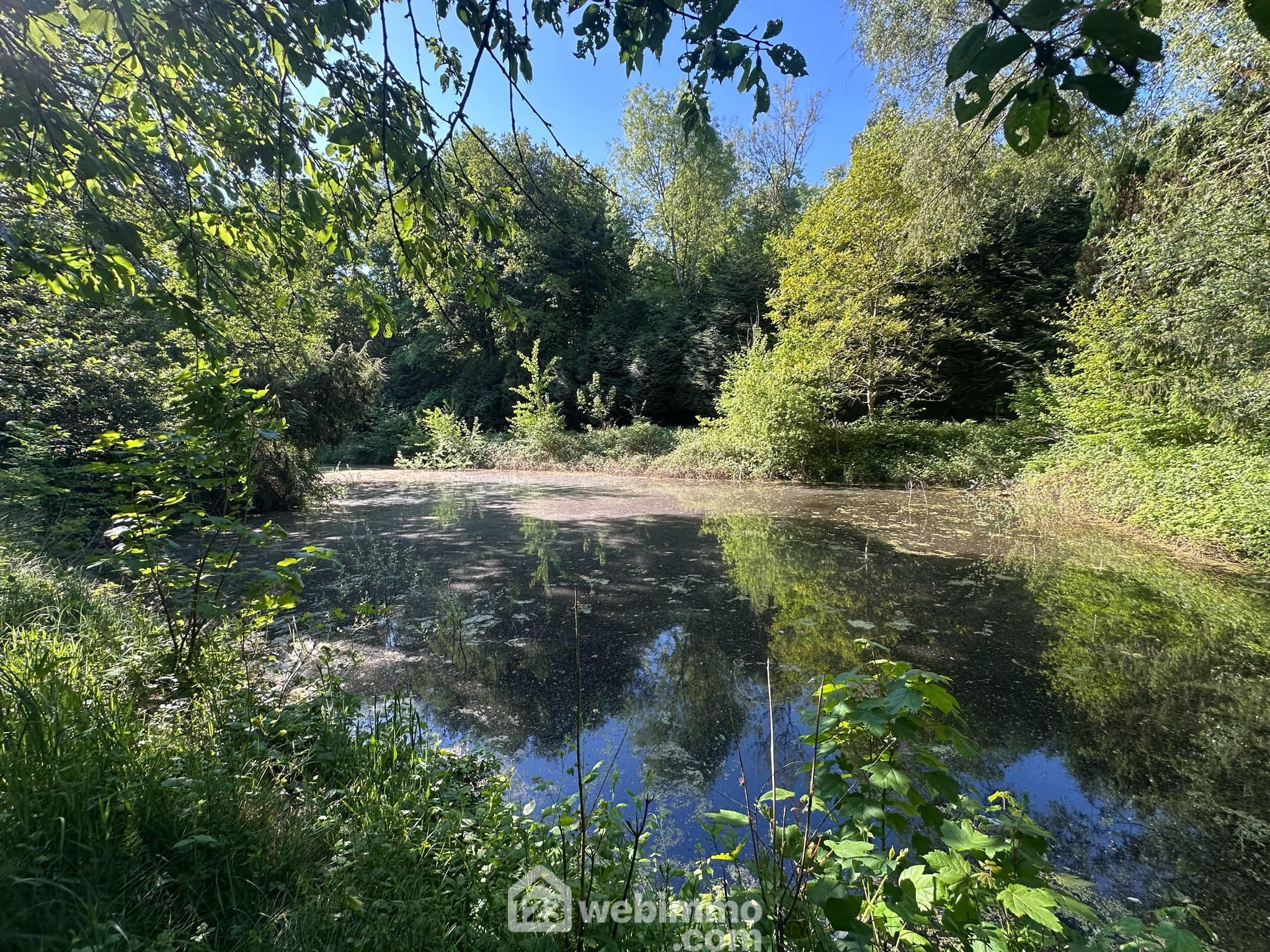 Etang - 3020m² - Parfondru