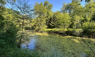 Photo N° 4