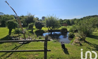 Photo N° 3