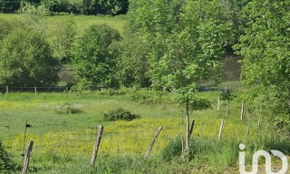 Photo N° 4
