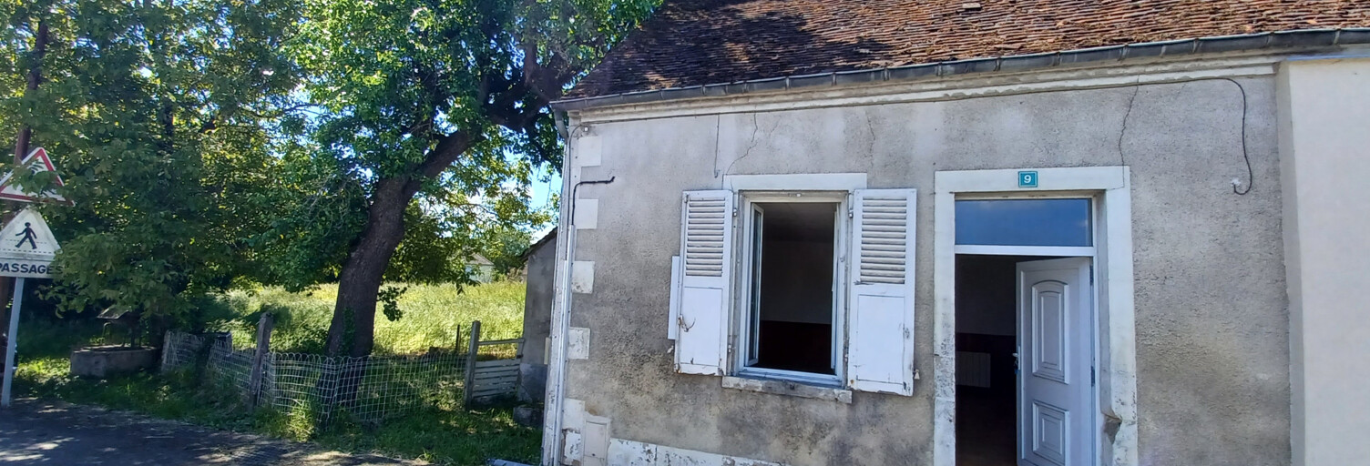 Maison 2 Pièces 40 m² à vendre à Sancergues (18140)