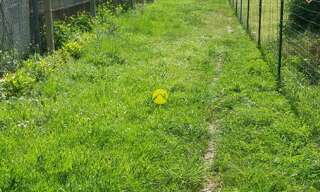 Maison 1 Pièce  m² à vendre à Bourges (18000)