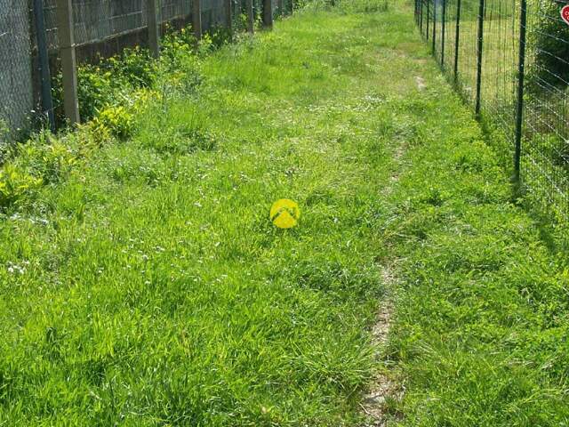 AU BOUT DU CHEMIN LA TRANQUILITE — photo du bien