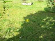 AU BOUT DU CHEMIN LA TRANQUILITE — photo 3