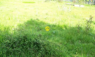 Photo N° 6