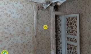 Photo N° 5