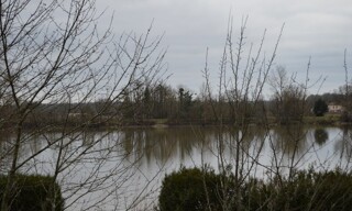 Photo N° 4