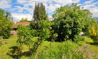 Photo N° 8