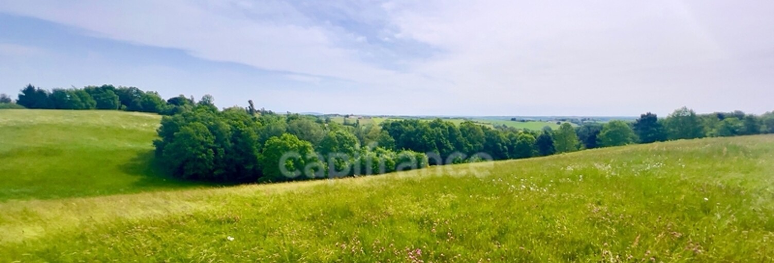 Terrain  6000 m² à vendre à Montauban (82000)