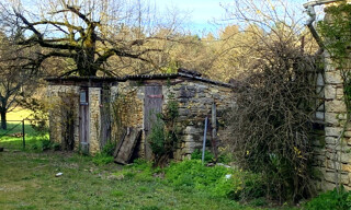 Photo N° 17