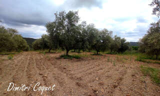 Terrain  8000 m² à vendre à Pézenas (34120)
