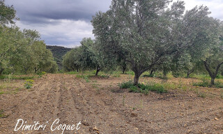 Photo N° 2