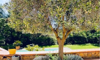 Maison 8 Pièces 272 m² à vendre à Saint-Cyr-sur-Mer (83270)