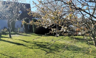 Photo N° 2