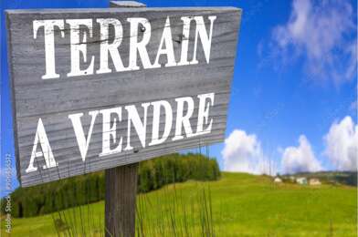 Terrain  40000 €