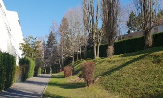Photo N° 14