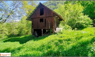 Photo N° 4