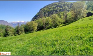 Photo N° 5