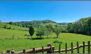 Photo N° 3