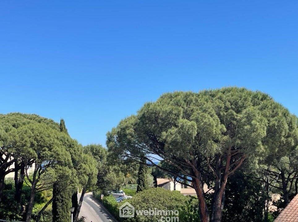 Photo Appartement - 21m² - Sainte-Maxime image 2/4
