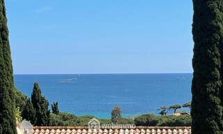 Photo N° 6