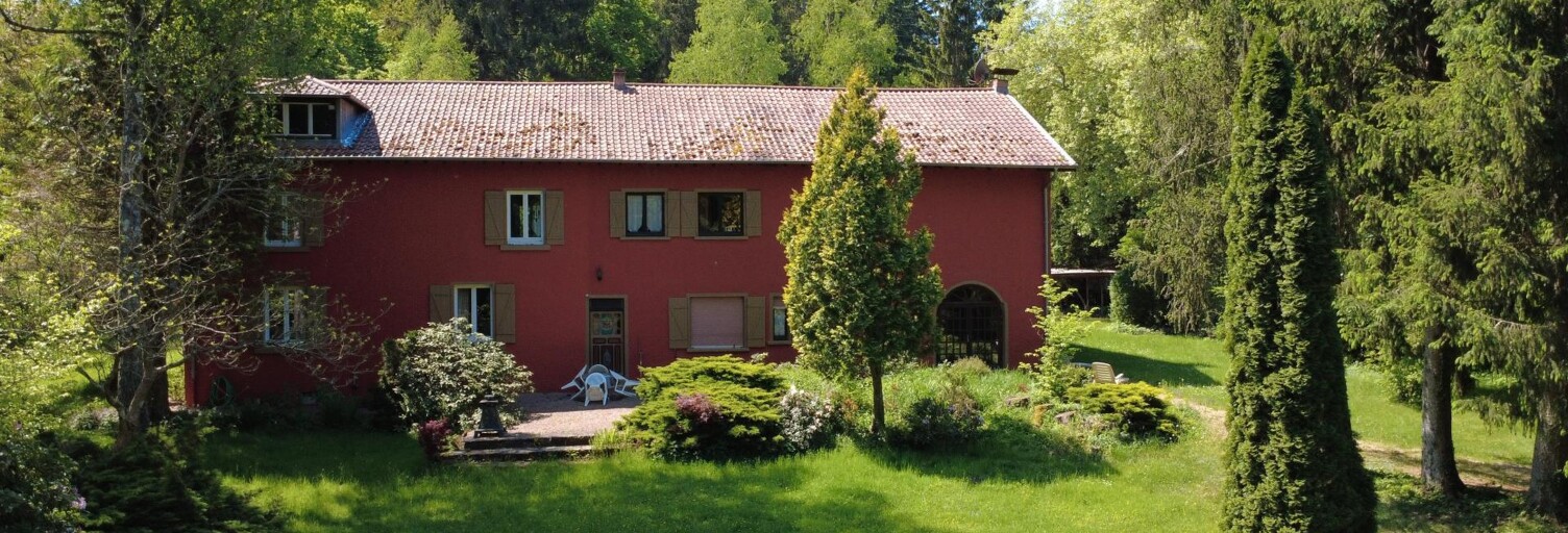 Maison 16 Pièces 382 m² à vendre à Cirey-sur-Vezouze (54480)