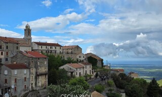 Photo N° 8