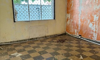 Photo N° 6