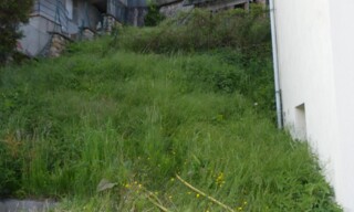 Photo N° 6