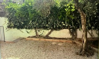 Photo N° 5