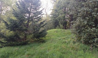 Photo N° 5