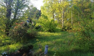 Photo N° 6