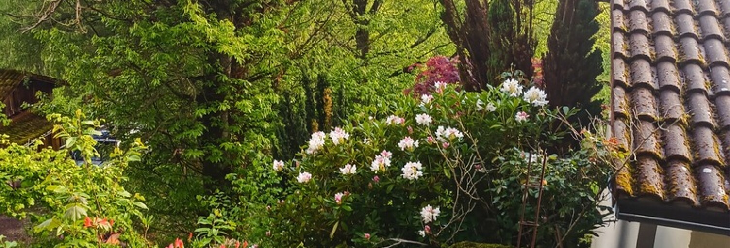 Maison 6 Pièces 116 m² à vendre à Vollore-Ville (63120)