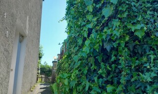 Photo N° 2
