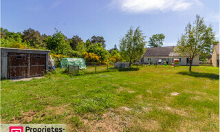 Photo N° 4