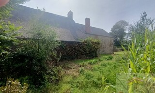 Photo N° 3