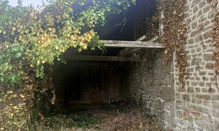 Photo N° 4
