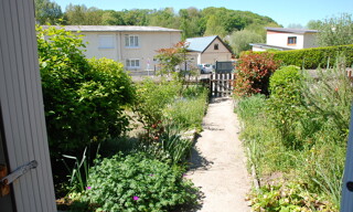 Photo N° 4