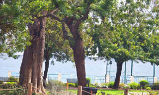 Commerce  60 m² à vendre à Menton (06500)