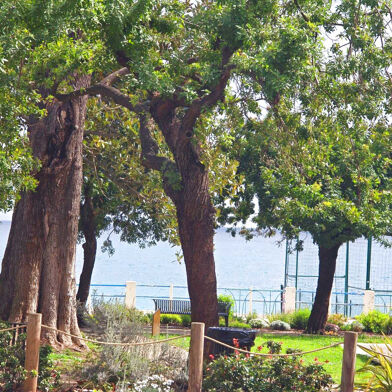 Commerce  265000 €