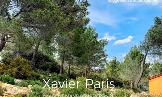 Photo N° 4