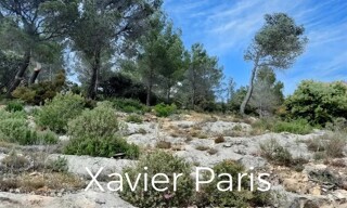 Photo N° 4