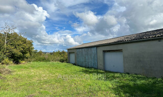 Photo N° 4