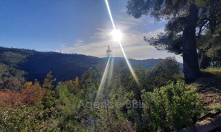 Terrain  7894 m² à vendre à Nice (06200)